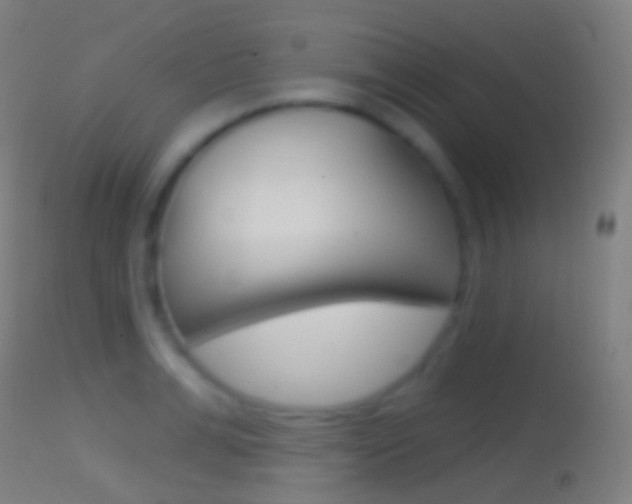 X0000114670991200910211005