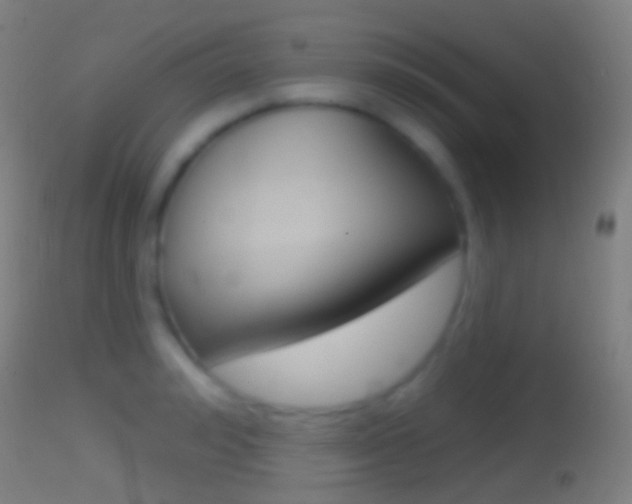 X0000114670992200910211005