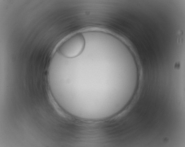 X0000114670993200910211005