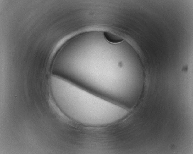 X0000114670996200910211005