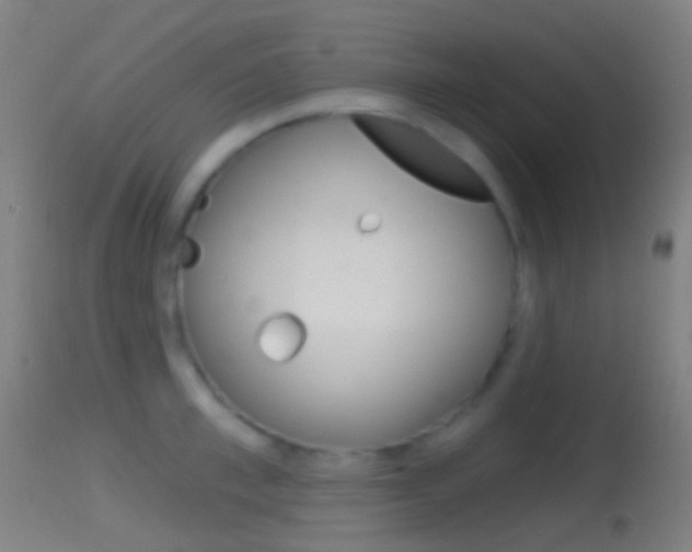 X0000114670997200910211005