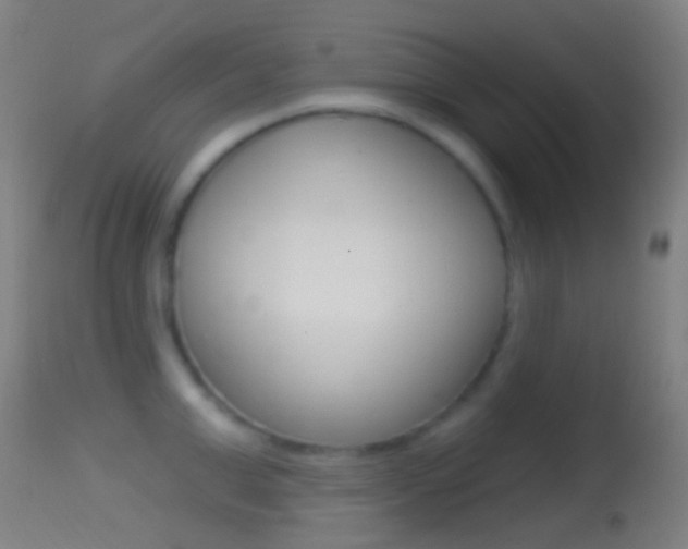 X0000114670999200910211005
