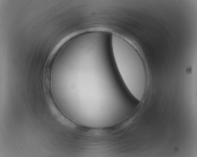 X0000114671000200910211005