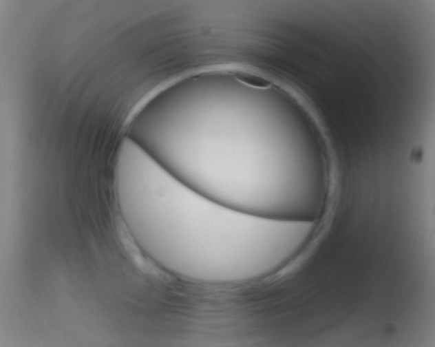 X0000114671001200910211004