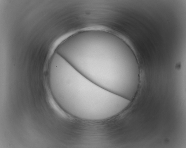 X0000114671003200910211004