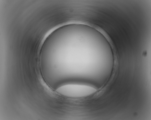 X0000114671004200910211004