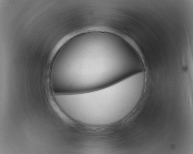 X0000114671005200910211004