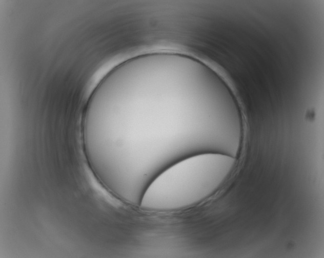 X0000114671006200910211004