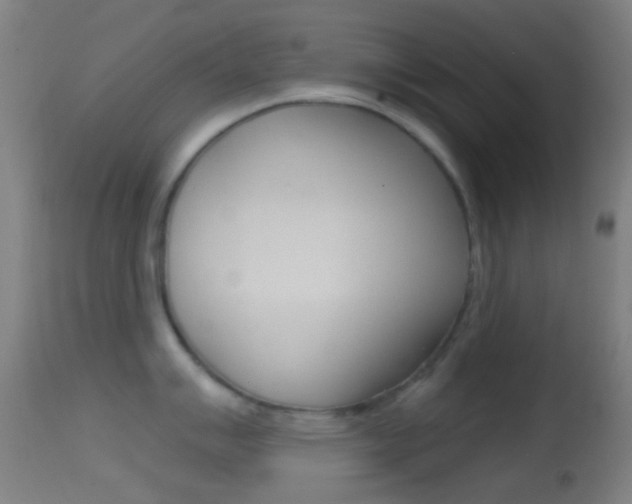 X0000114671007200910211004