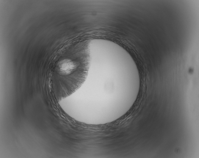 X0000114671010200910211004