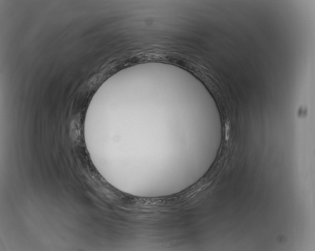 X0000114671011200910211004