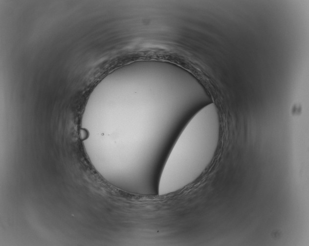 X0000114671013200910211004