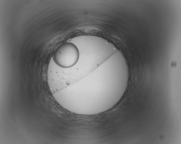 X0000114671014200910211004