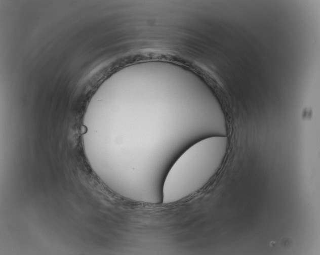 X0000114671015200910211004
