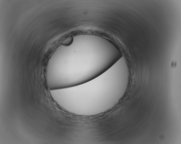 X0000114671016200910211004