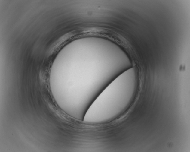 X0000114671017200910211004