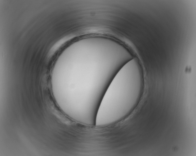 X0000114671019200910211004