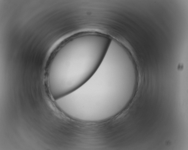 X0000114671020200910211004