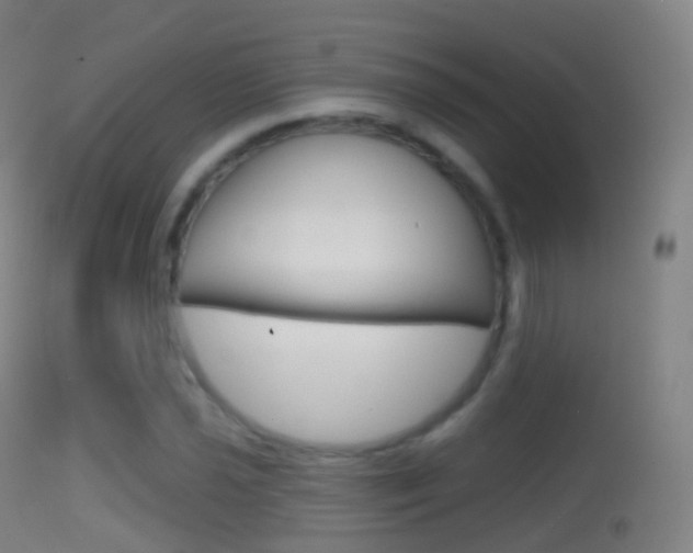 X0000114671021200910211004
