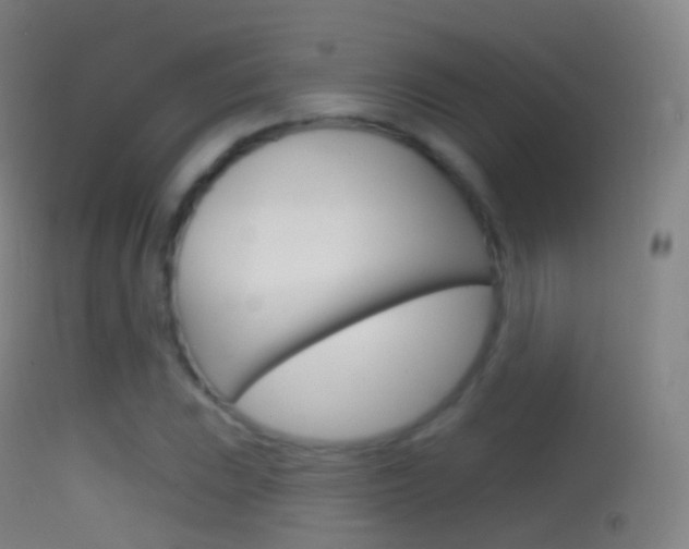 X0000114671023200910211004