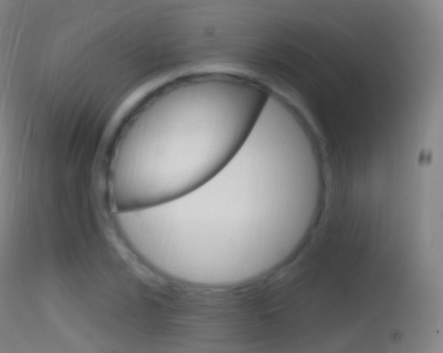 X0000114671024200910211004