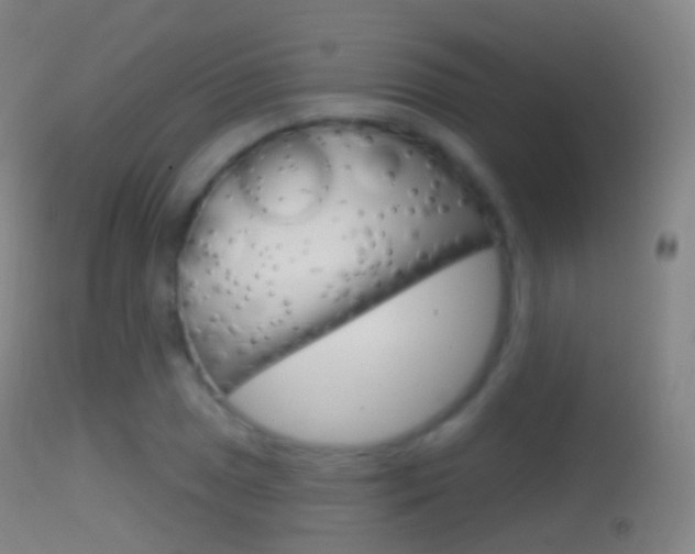 X0000114671025200910211004