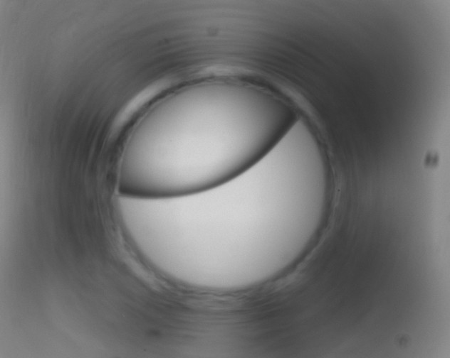 X0000114671026200910211004