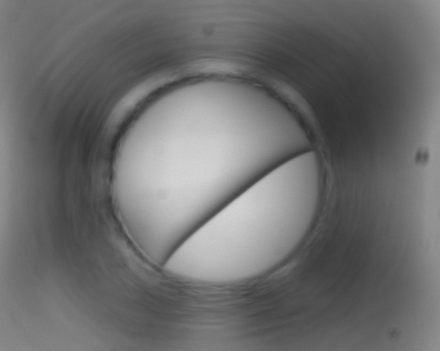 X0000114671027200910211004