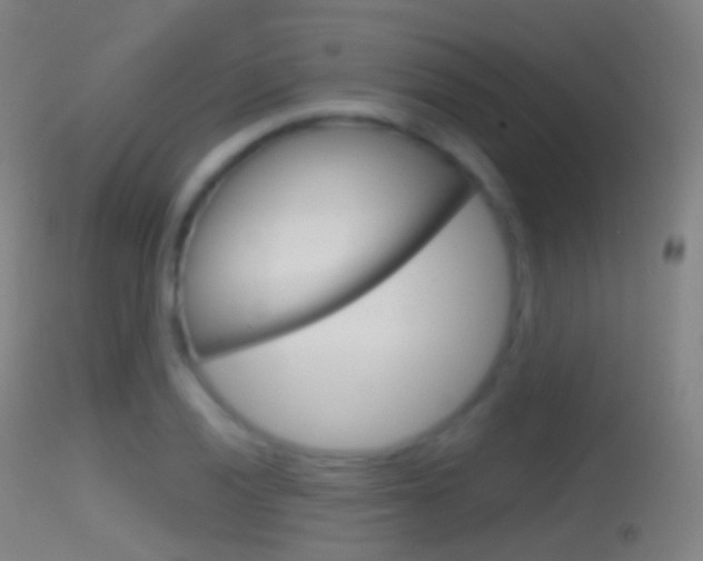 X0000114671028200910211004
