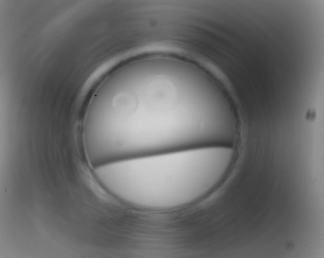 X0000114671029200910211004
