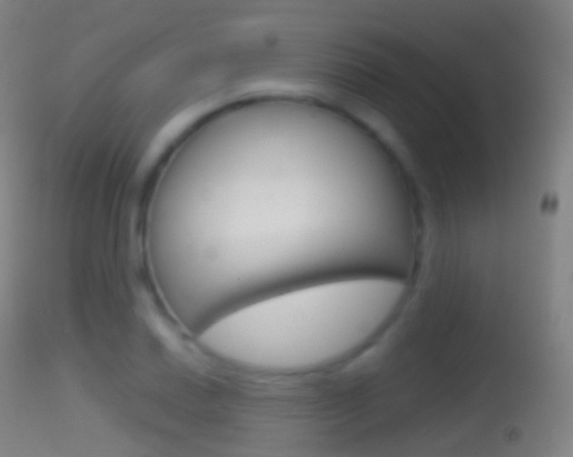 X0000114671030200910211004