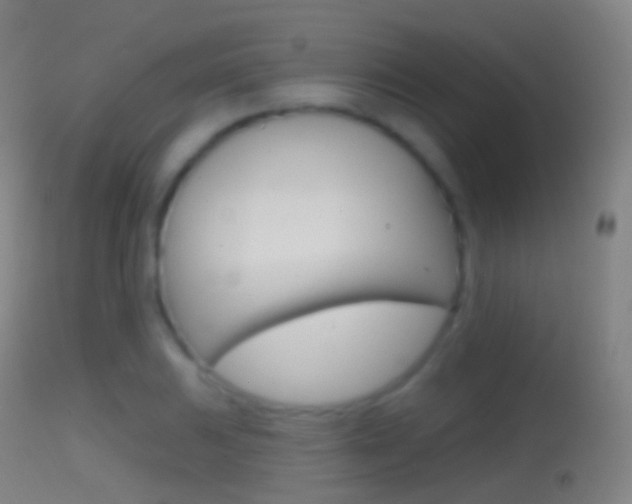 X0000114671031200910211004