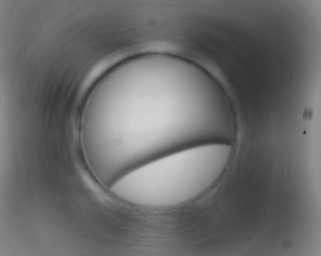 X0000114671032200910211004