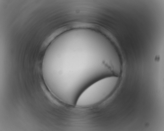 X0000114671033200910211004
