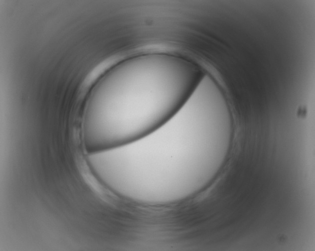 X0000114671034200910211004