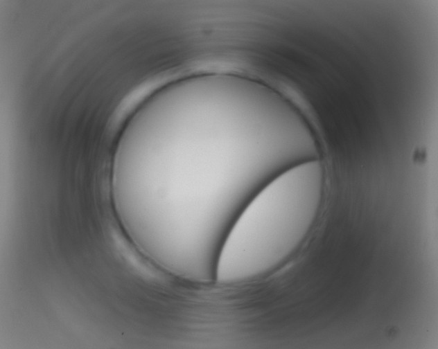 X0000114671035200910211004