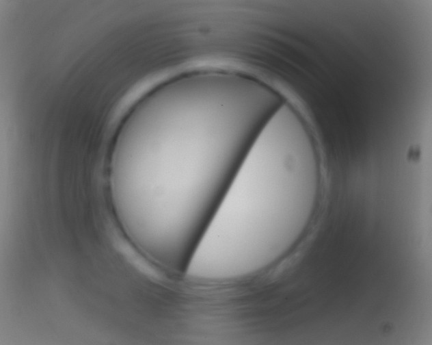 X0000114671037200910211004