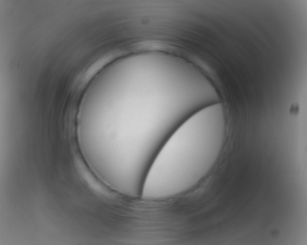 X0000114671039200910211004