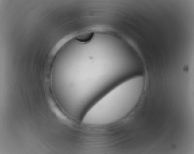 X0000114671042200910211004