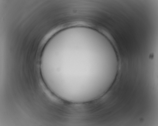X0000114671043200910211004