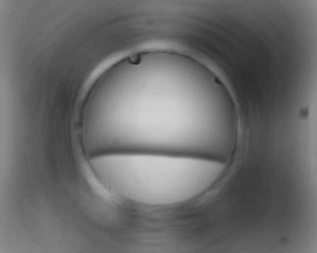 X0000114671045200910211004