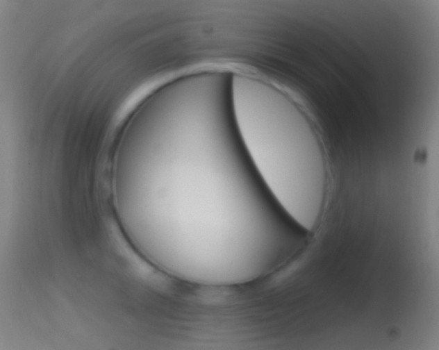X0000114671046200910211004