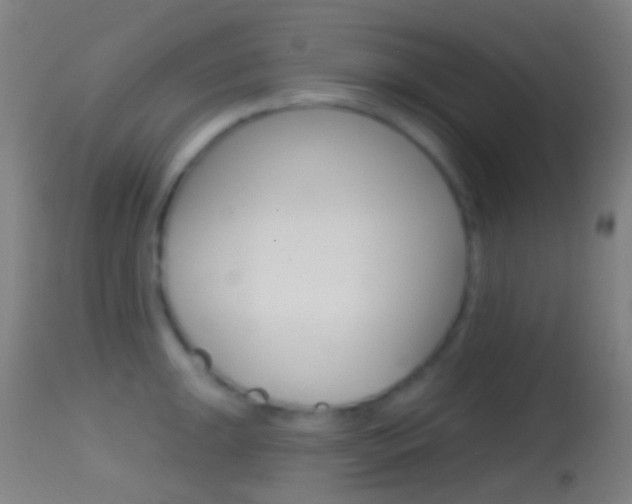 X0000114671047200910211004