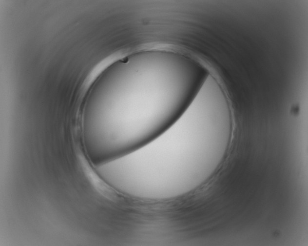 X0000114671050200910211004