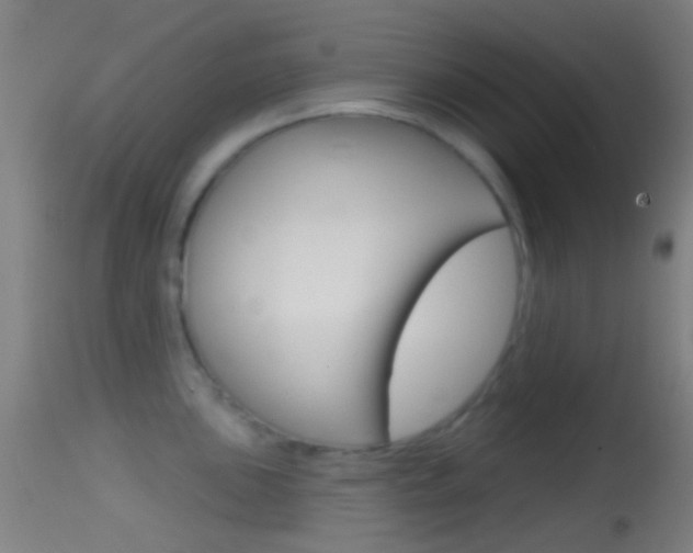 X0000114671051200910211004