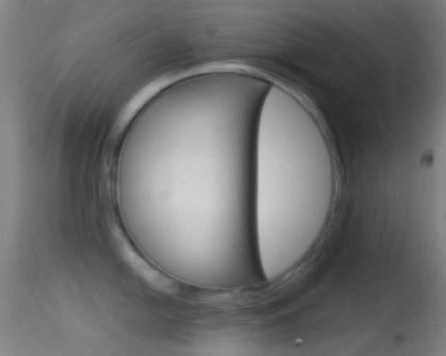 X0000114671054200910211004