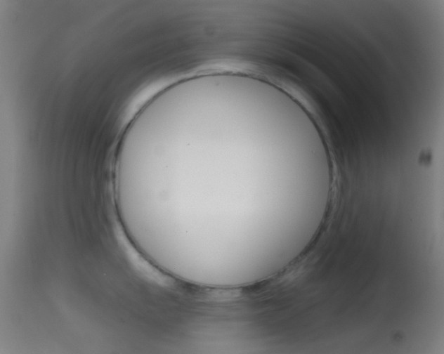 X0000114671055200910211004