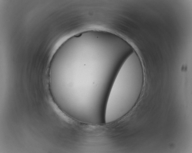 X0000114671056200910211004