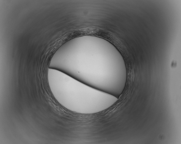 X0000114671058200910211004