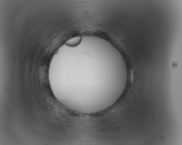 X0000114671059200910211004